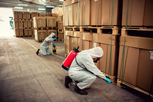Best Best Pest Control Companies  in Halstead, KS