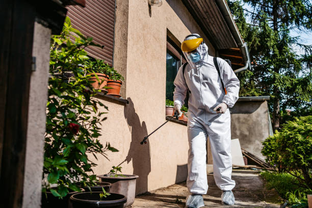 Best Bed Bug Extermination  in Halstead, KS