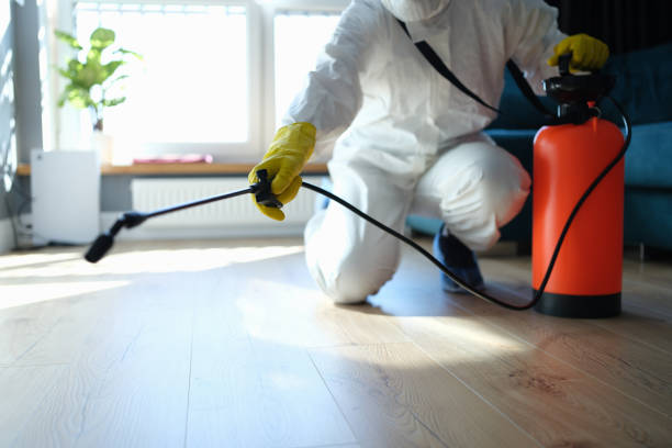 Best Termite Control Services  in Halstead, KS