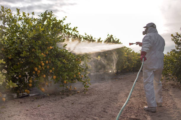 Best Bed Bug Extermination  in Halstead, KS
